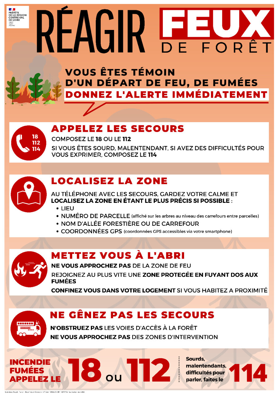 Feux de forêt : réagir !