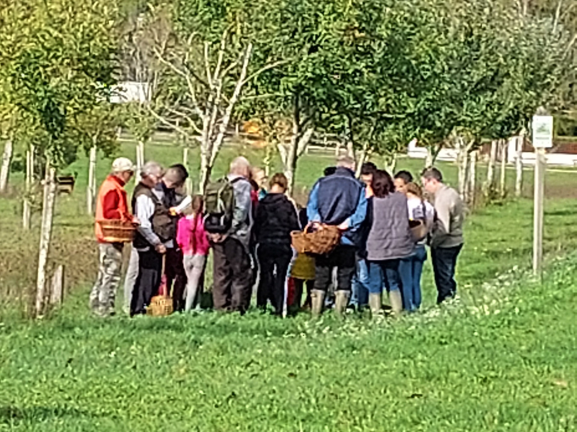 sortie maison de la foret