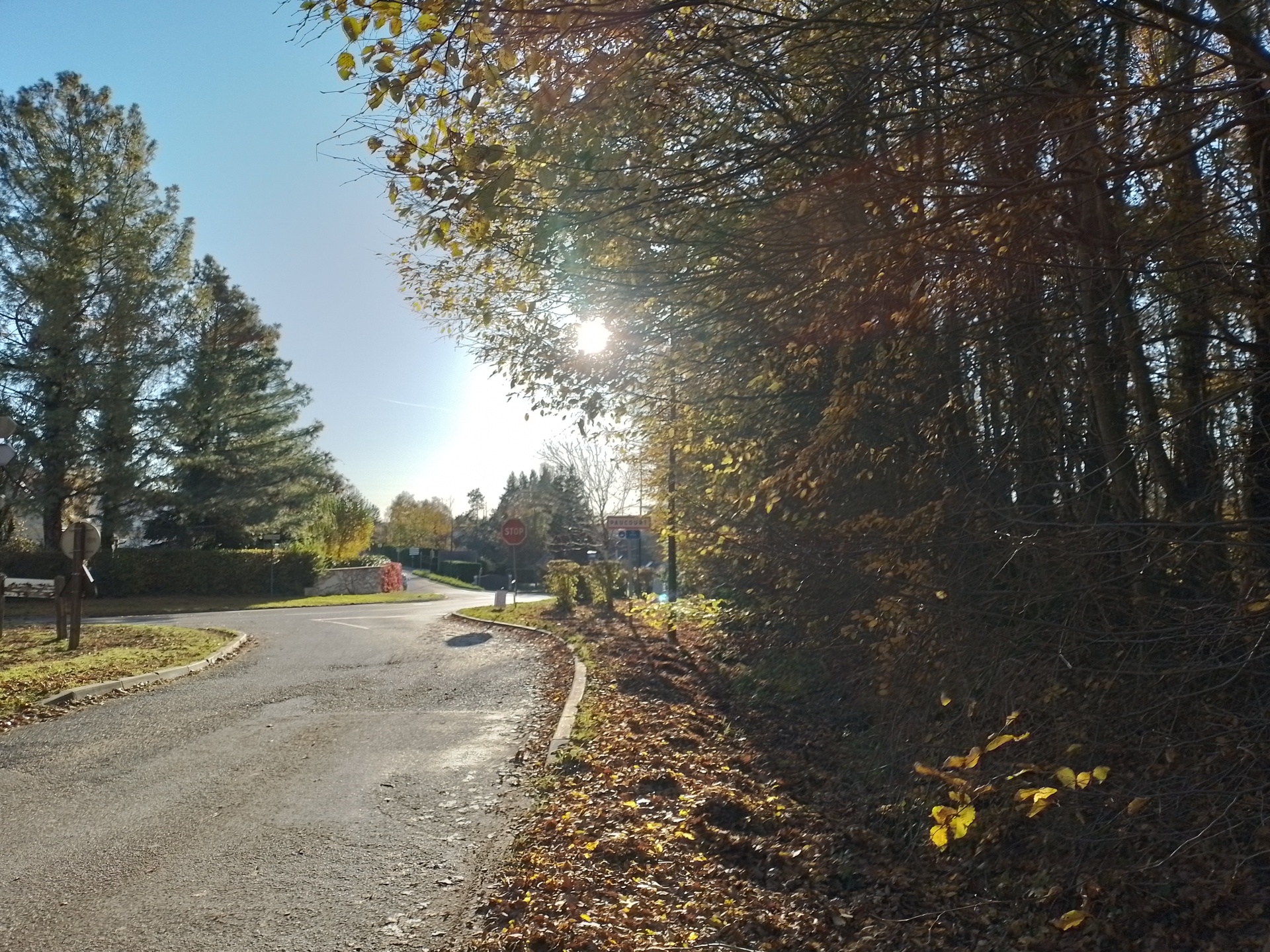 Stop de la Route Forestière St Hubert
