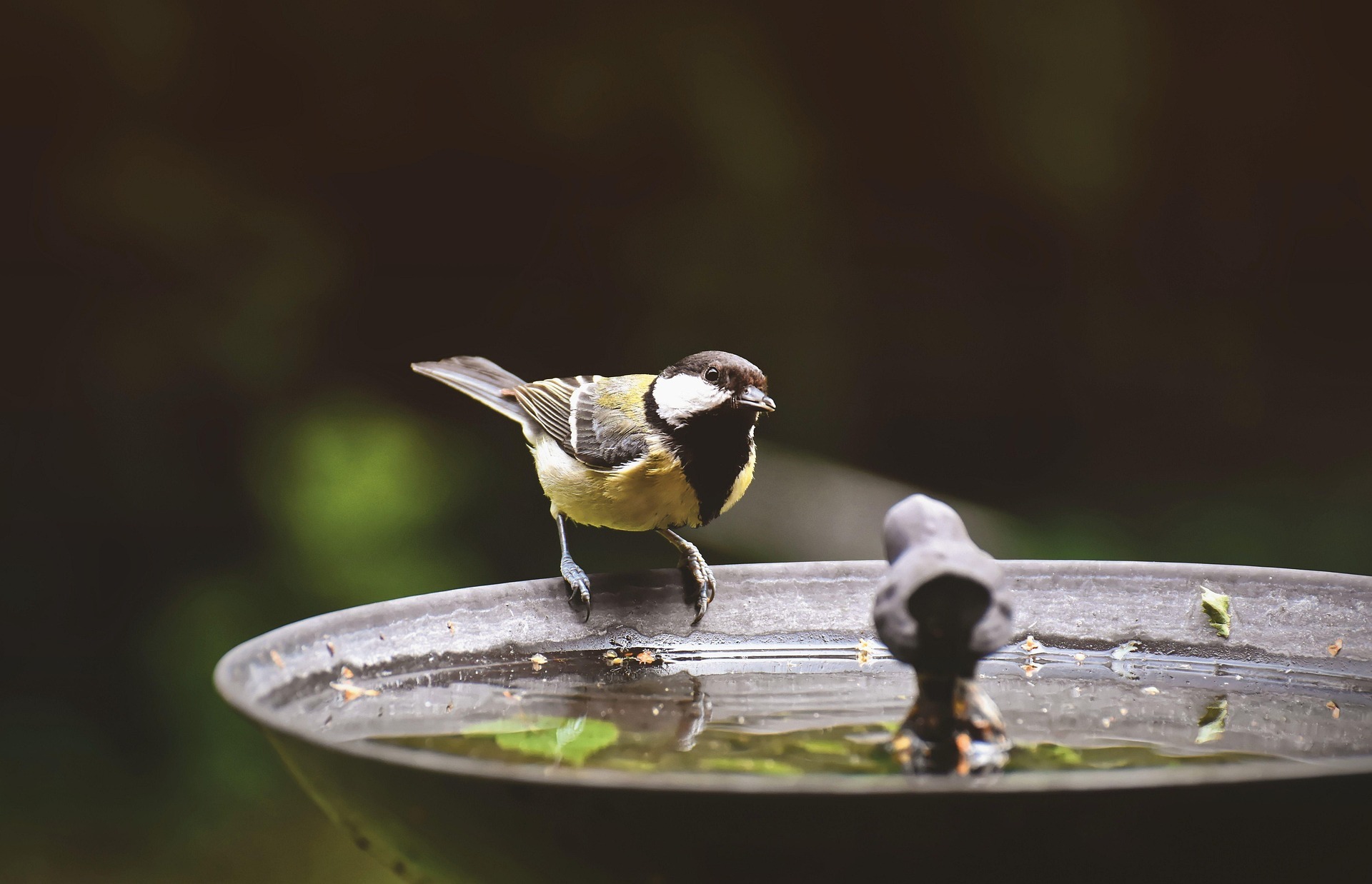 Préserver la ressource en eau et protéger l'environnement