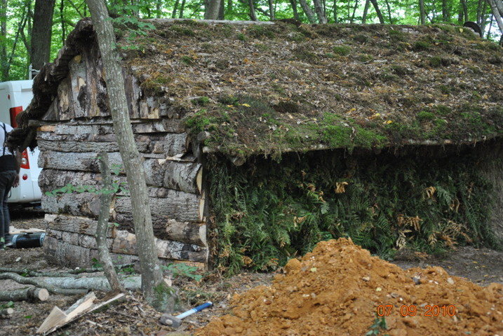 Vue sur le toit de la cabane