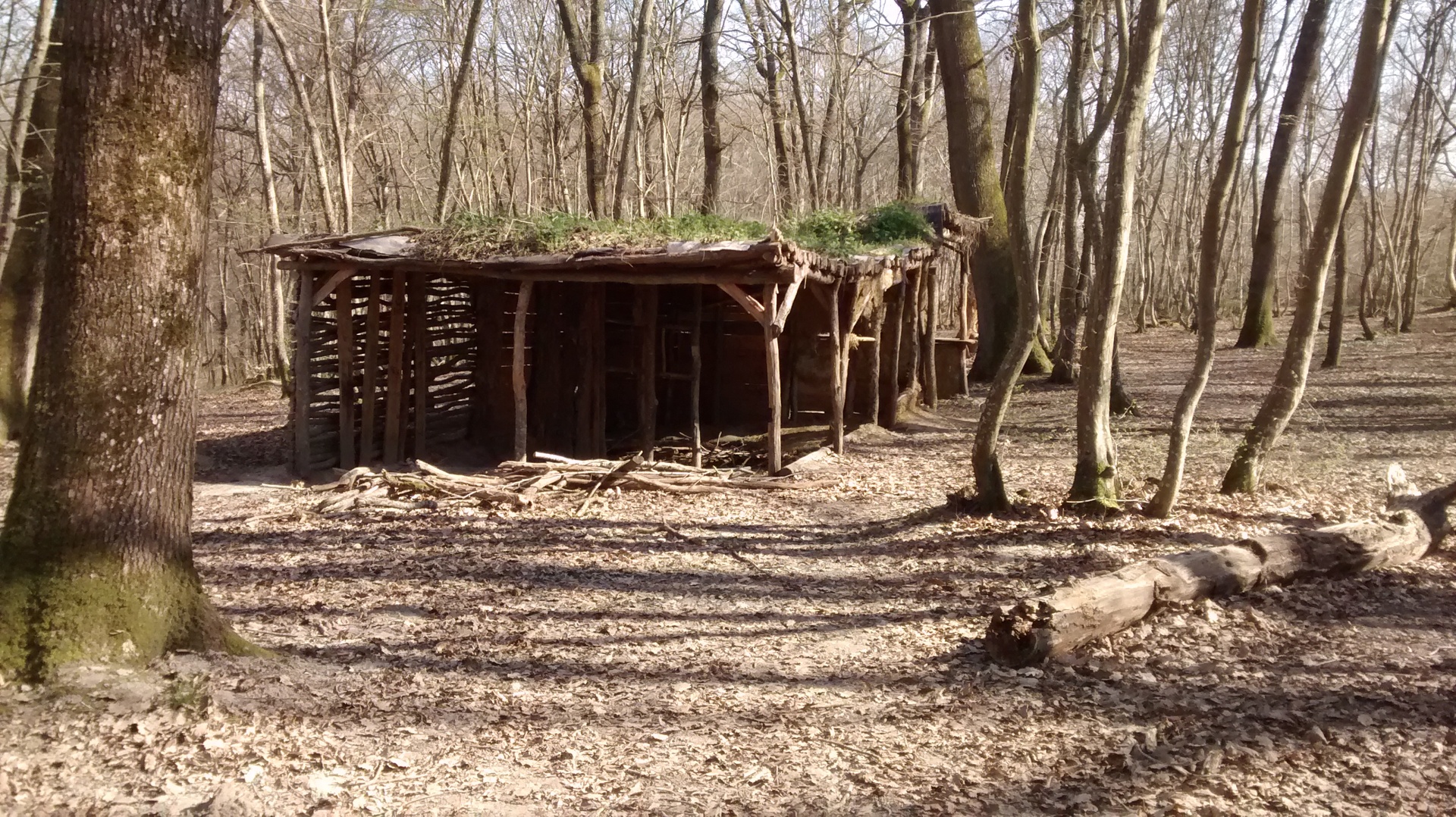 Cabane des charbonniers