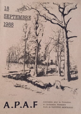 Fête de la Forêt 1988