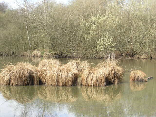Vue de l'étang de Paucourt