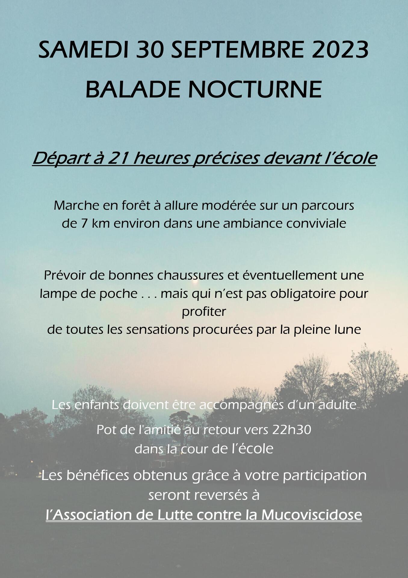 Flyer Balade Nocturne