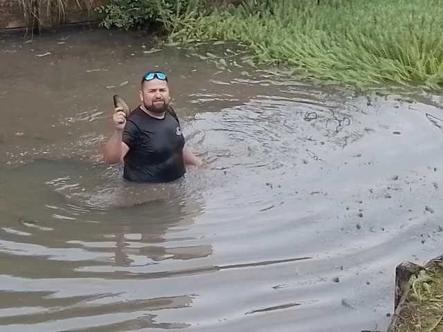 Moule d'eau