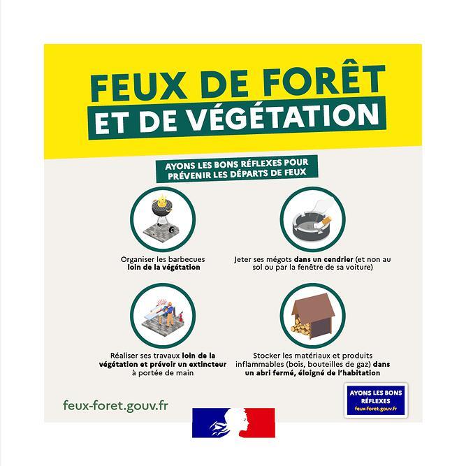 Prévenir les feux de forêt