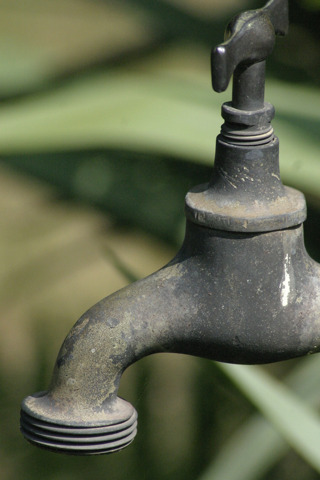 Eau