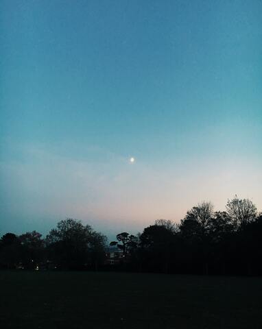 Balade nocturne