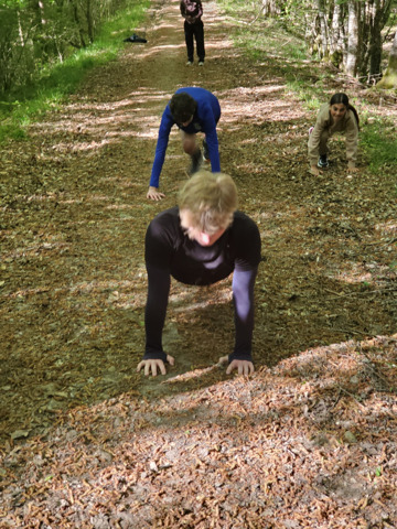 PPG : pompes en forêt