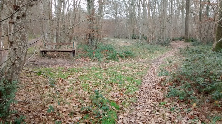 Repos dans le sous bois