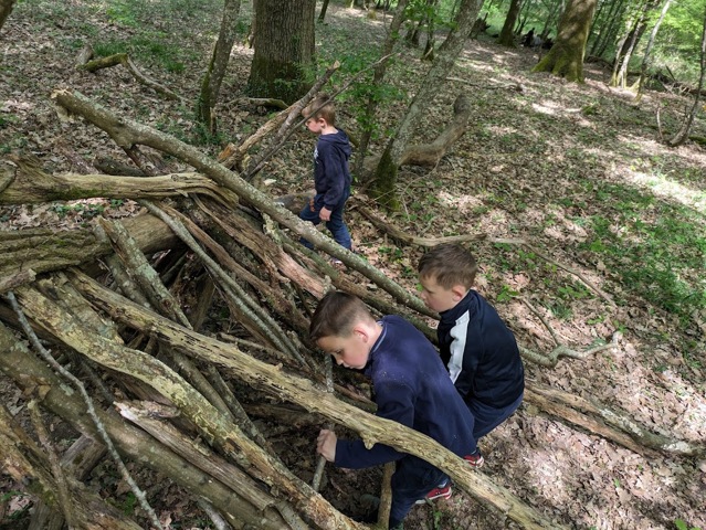 Cabane en construction