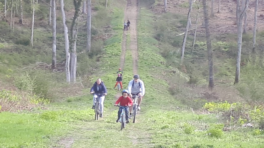 Le plaisir de rouler en forêt !